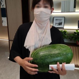 网红大瓜博雅吃瓜视频最全观看